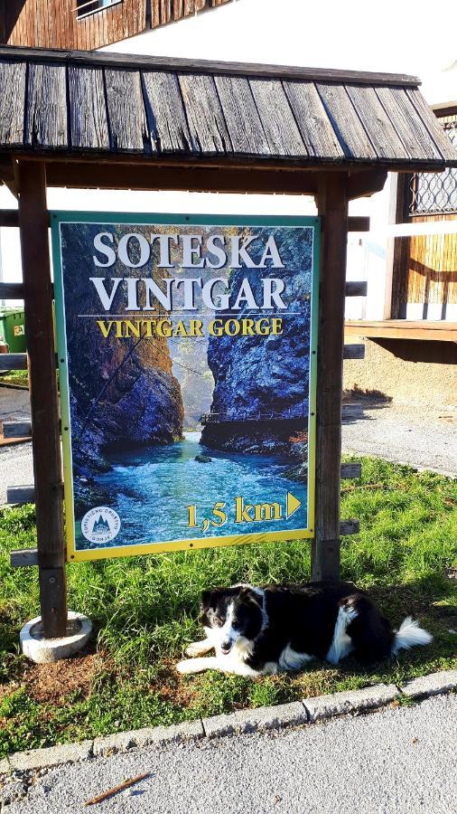 238 Spodnje Gorje Apartman Kültér fotó
