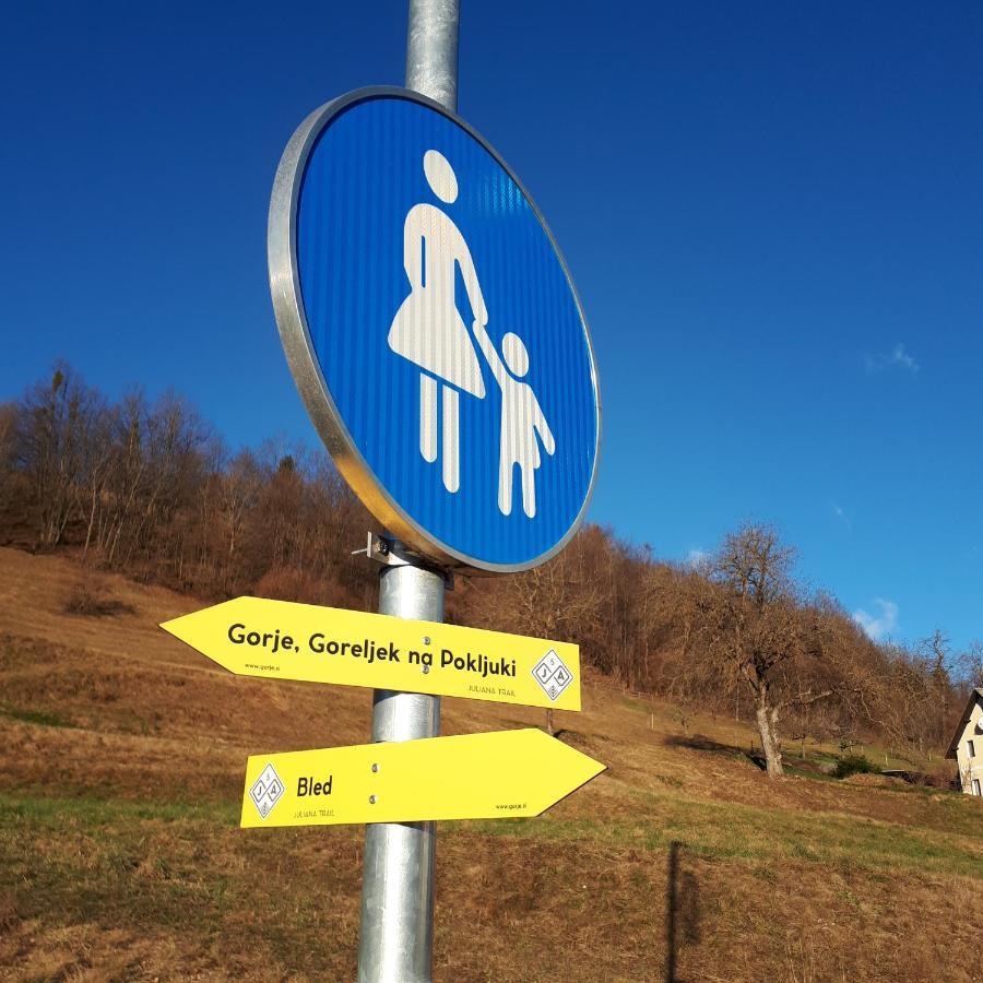 238 Spodnje Gorje Apartman Kültér fotó