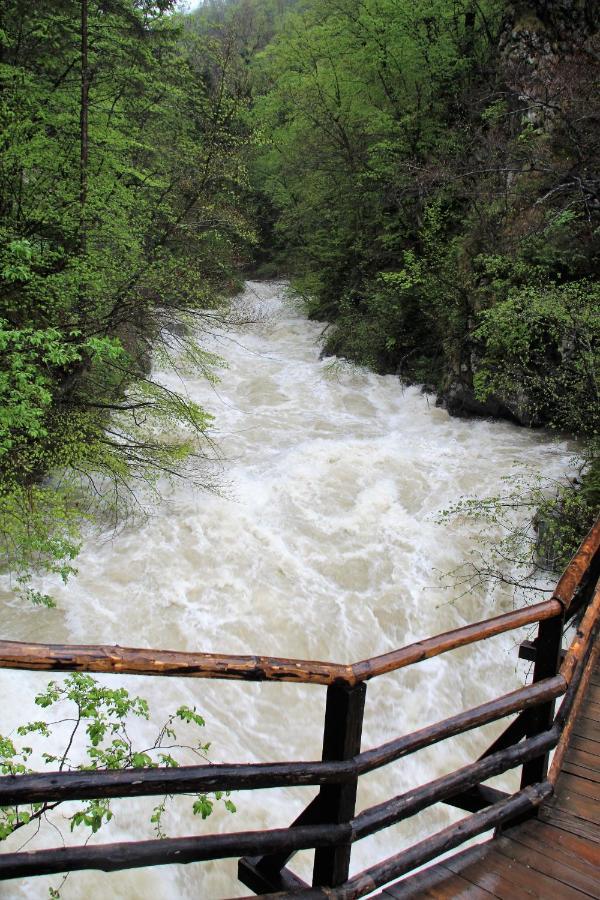 238 Spodnje Gorje Apartman Kültér fotó