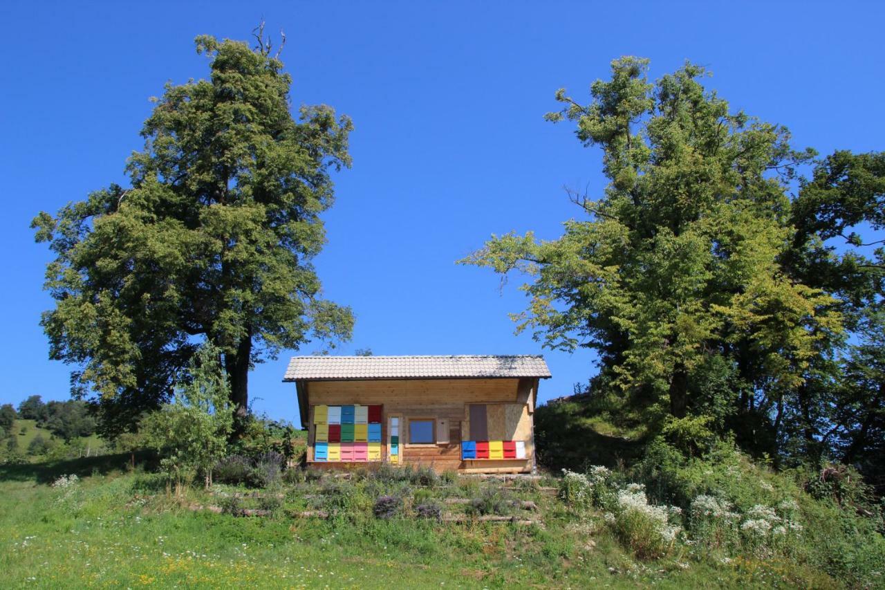 238 Spodnje Gorje Apartman Kültér fotó